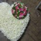 Pure Love Floral Heart