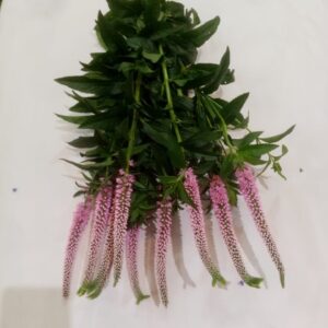 Veronica Pink Flower Bouquet