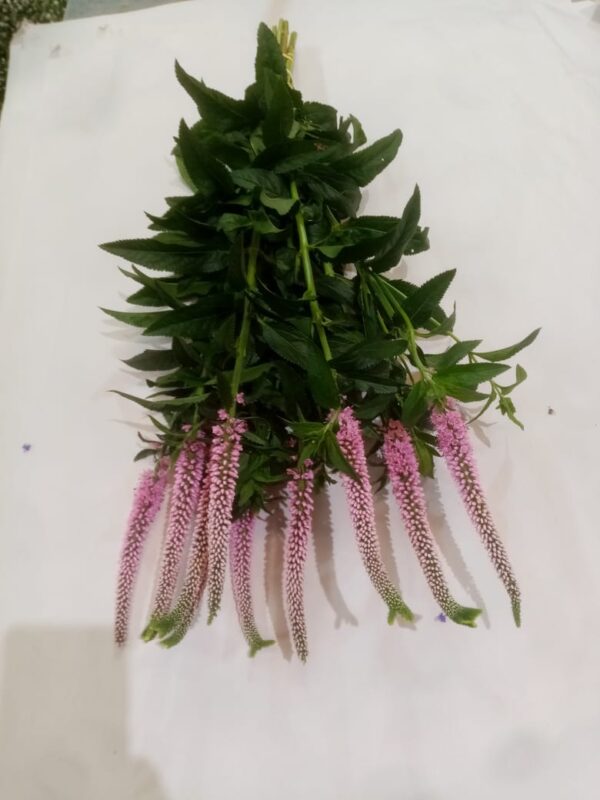 Veronica Pink Flower Bouquet