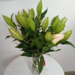 Tiger Lillies Wholesale